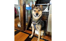 Longhillsecoguesthouse&Cafe - Vacation Stay 24885V